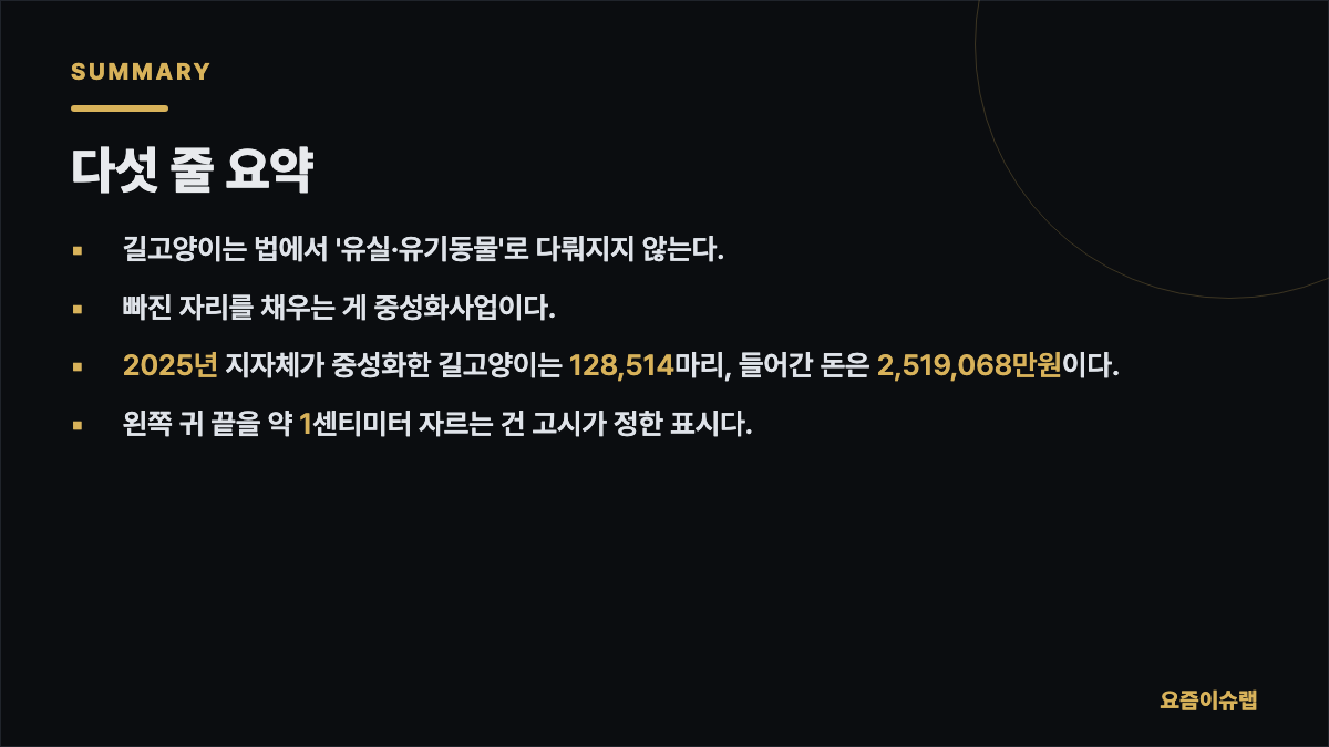 다섯 줄 요약 내용을 정리한 카드 이미지