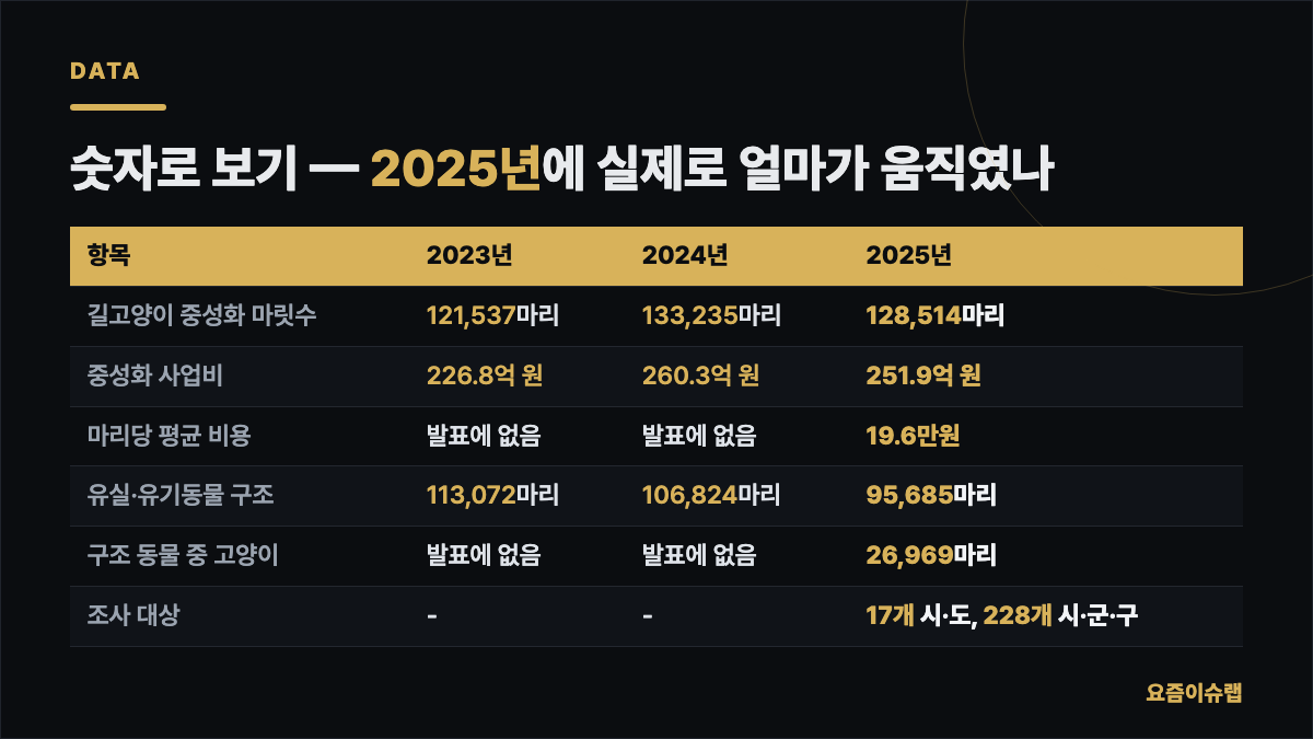 숫자로 보기 — 2025년에 실제로 얼마가 움직였나 내용을 정리한 카드 이미지