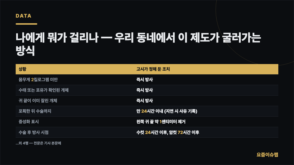 나에게 뭐가 걸리나 — 우리 동네에서 이 제도가… 내용을 정리한 카드 이미지