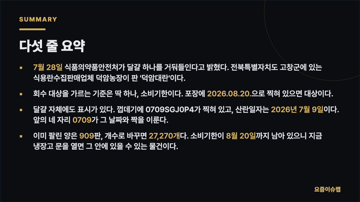 다섯 줄 요약 내용을 정리한 카드 이미지